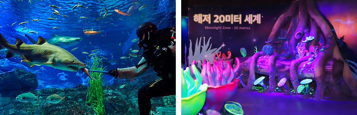 부산 아쿠아리움